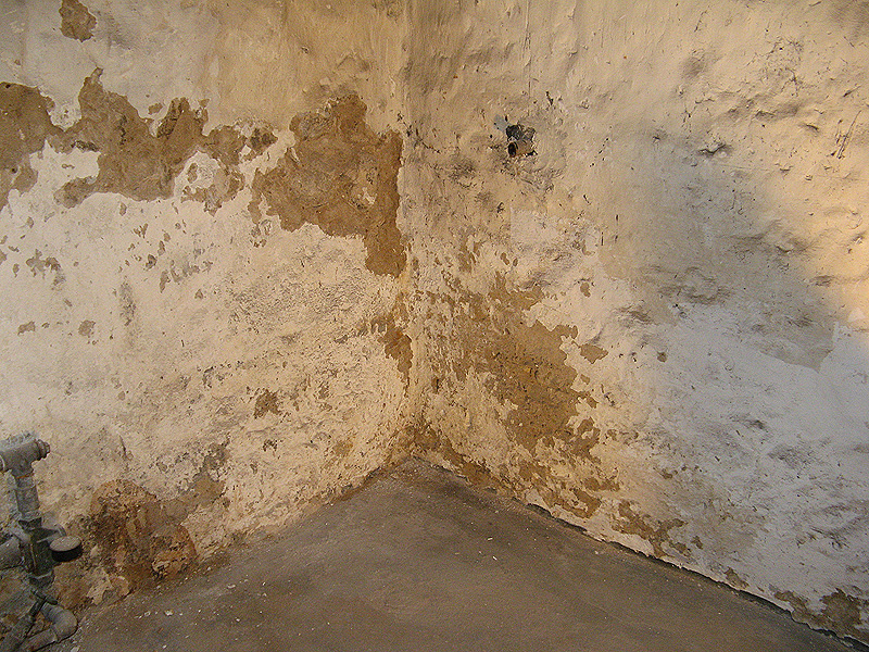 Kellertrockenlegung - Dachbeschichtung K & K